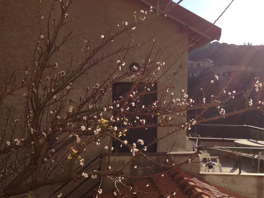 Agriturismo Olivarancio Leivi ภายนอก รูปภาพ
