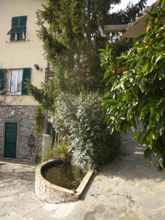 Agriturismo Olivarancio Leivi ภายนอก รูปภาพ