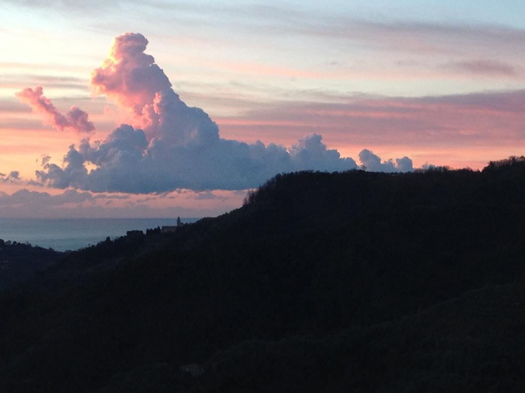 Agriturismo Olivarancio Leivi ภายนอก รูปภาพ
